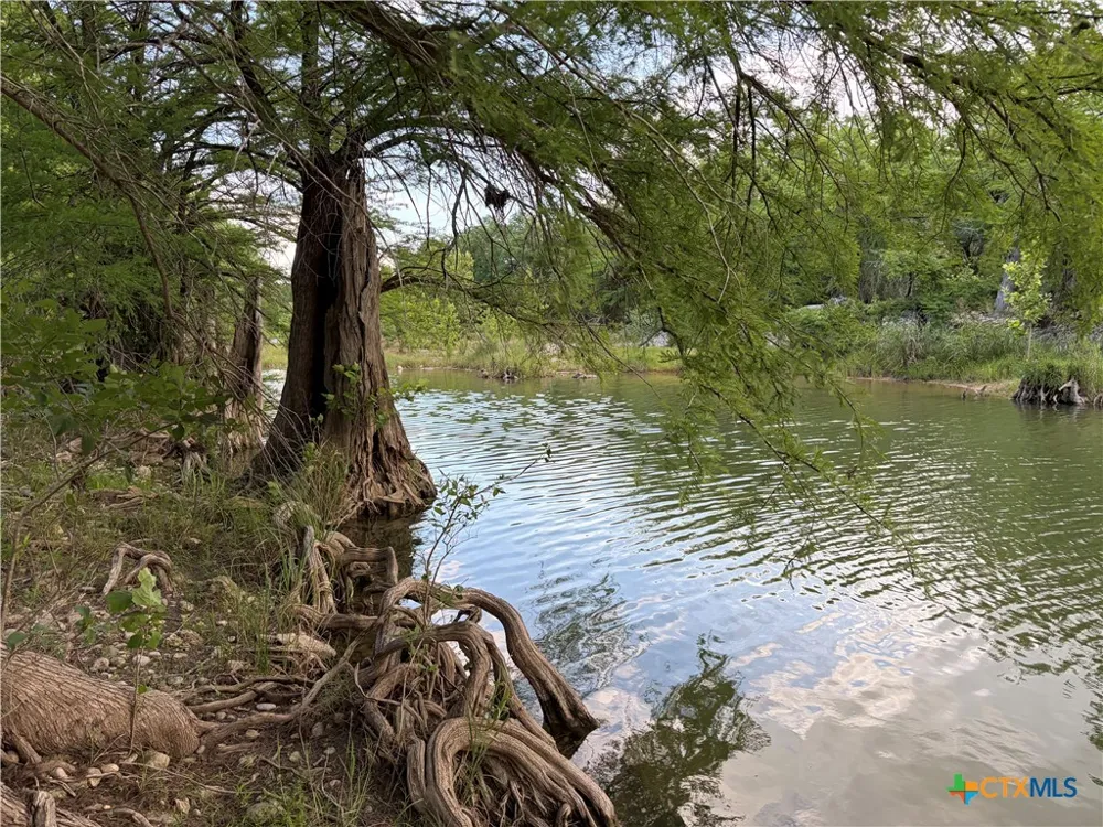 172 Bluff Trail Dripping Springs, TX 78620