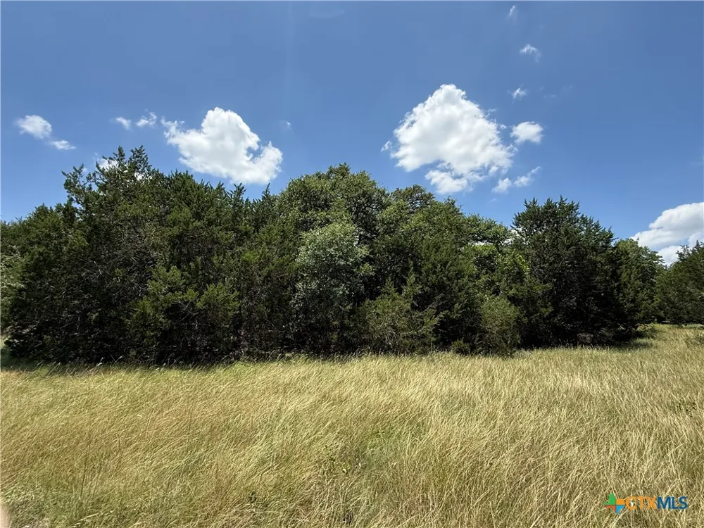 1220 Gannon Trail Salado, TX 76571