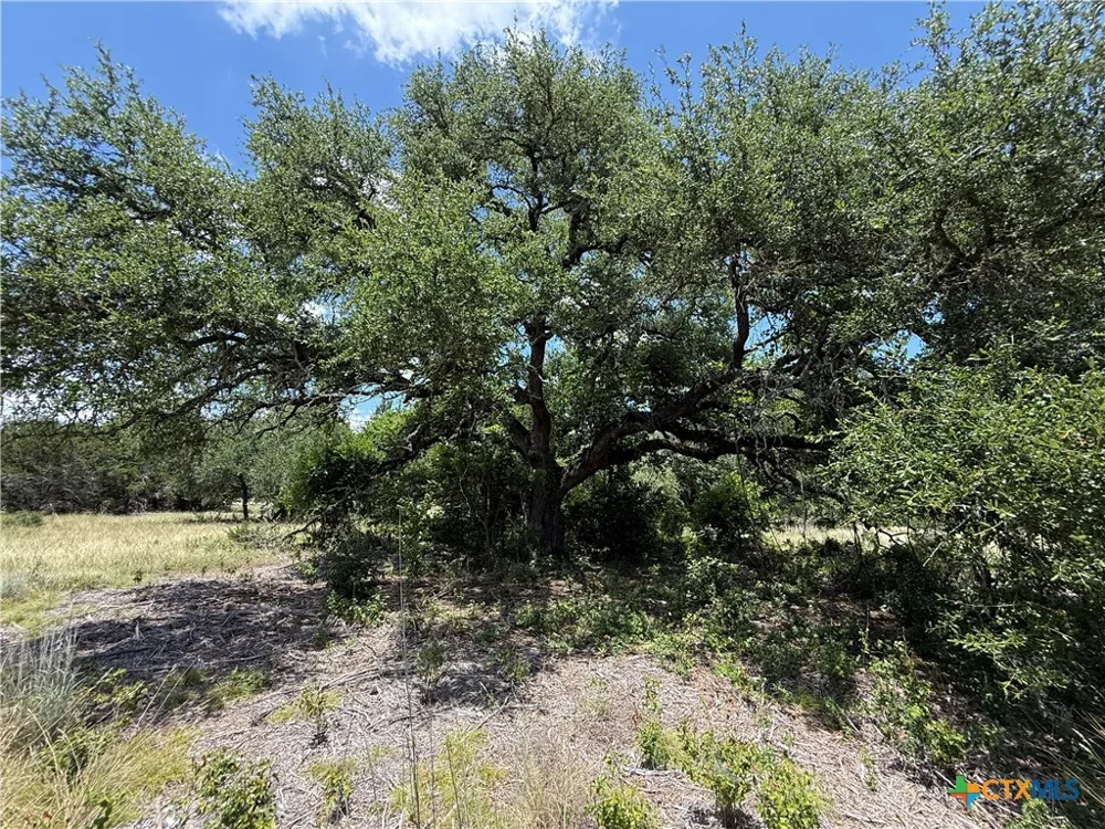 1220 Gannon Trail Salado, TX 76571