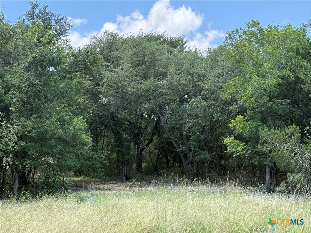 1220 Gannon Trail Salado, TX 76571