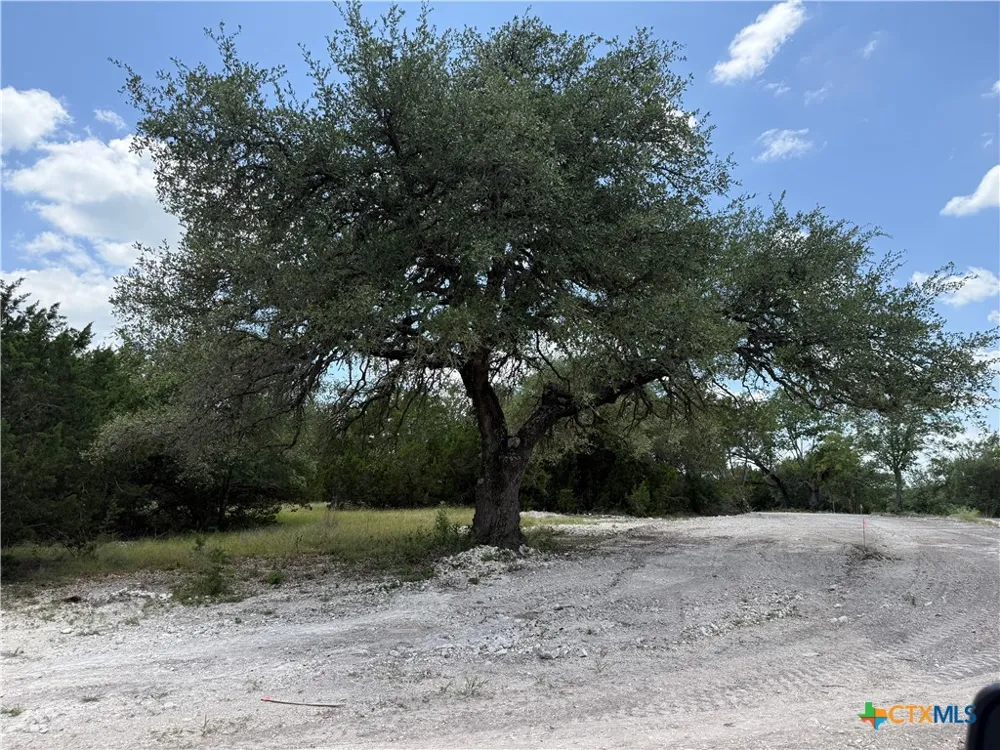 1202 Gannon Trail Salado, TX 76571