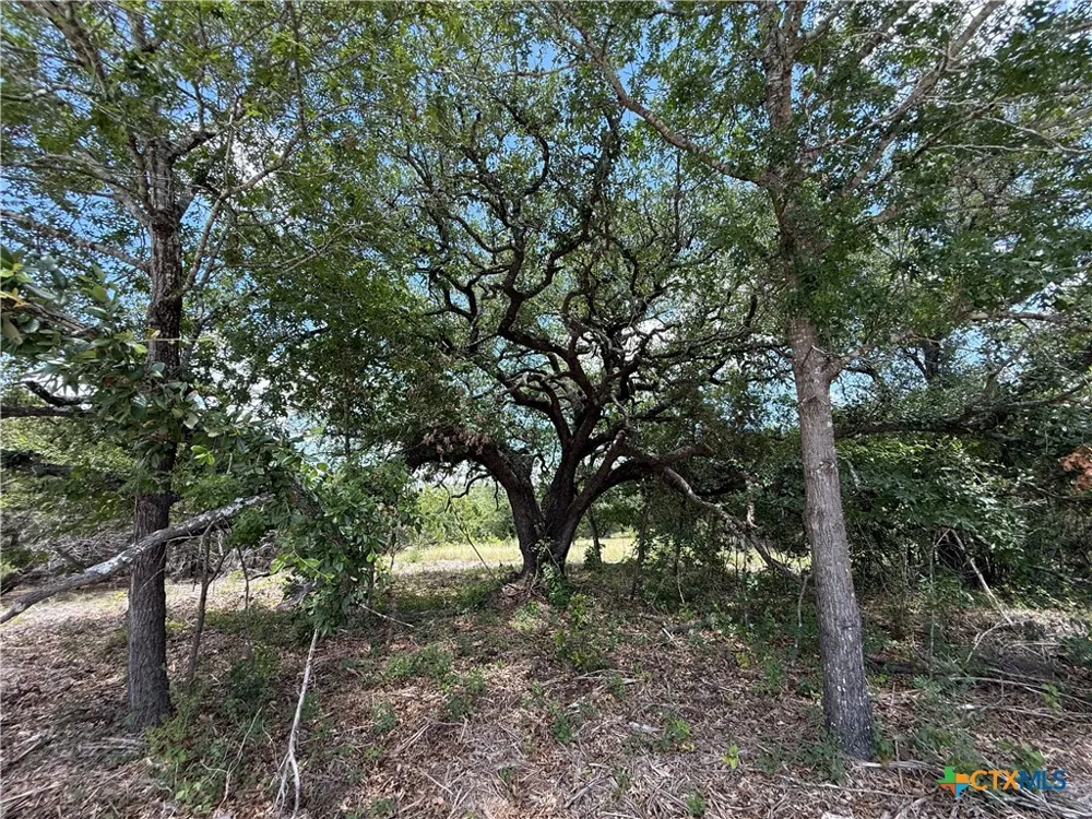 1092 Kenton Parkway Salado, TX 76571