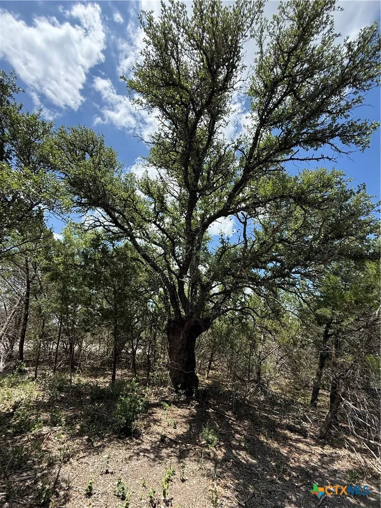 1092 Kenton Parkway Salado, TX 76571