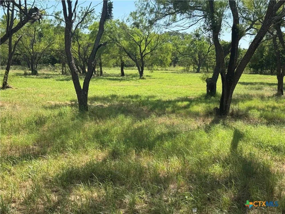 2 Sixth Street Bangs, TX 76823