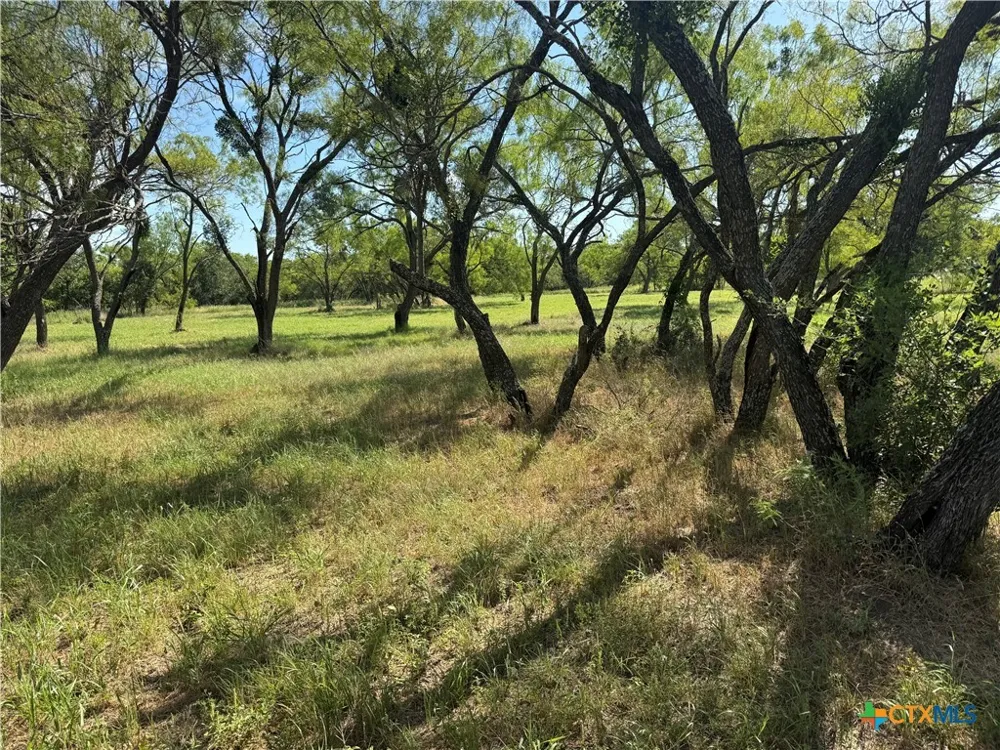 2 Sixth Street Bangs, TX 76823
