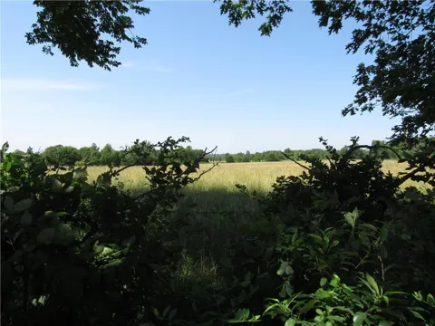 3 Bethel Road
