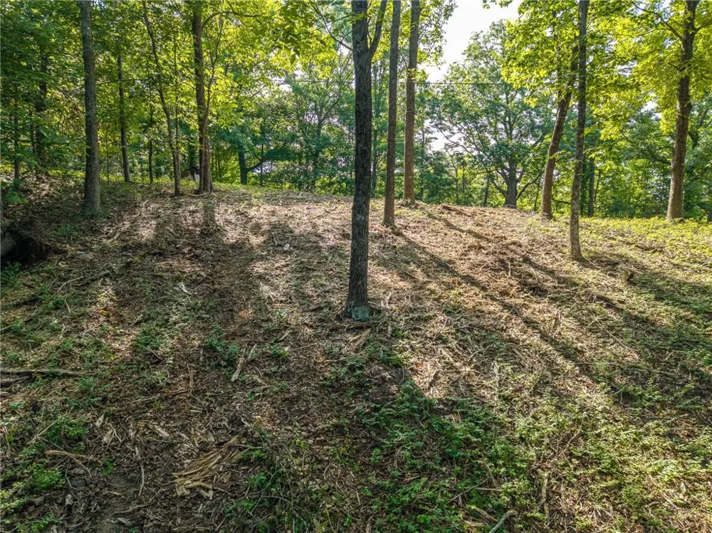 294 Adair Drive NE Ranger, GA 30734