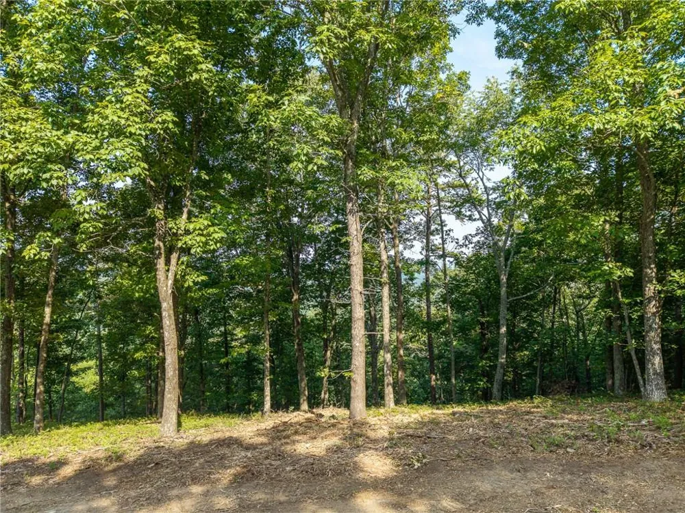 294 Adair Drive NE Ranger, GA 30734