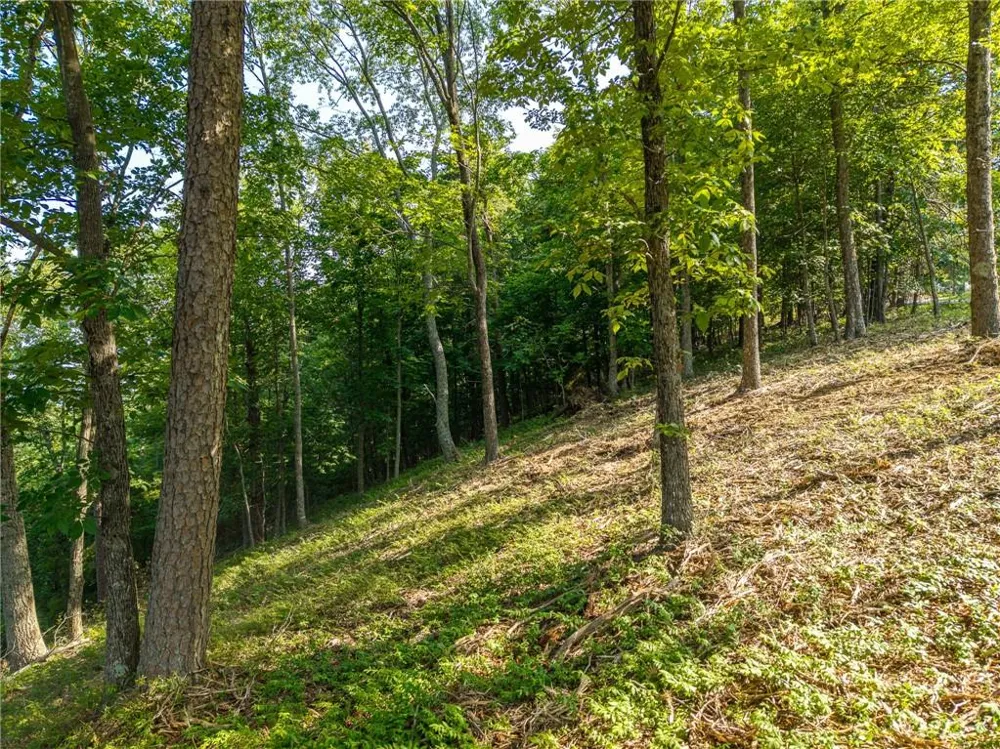 294 Adair Drive NE Ranger, GA 30734