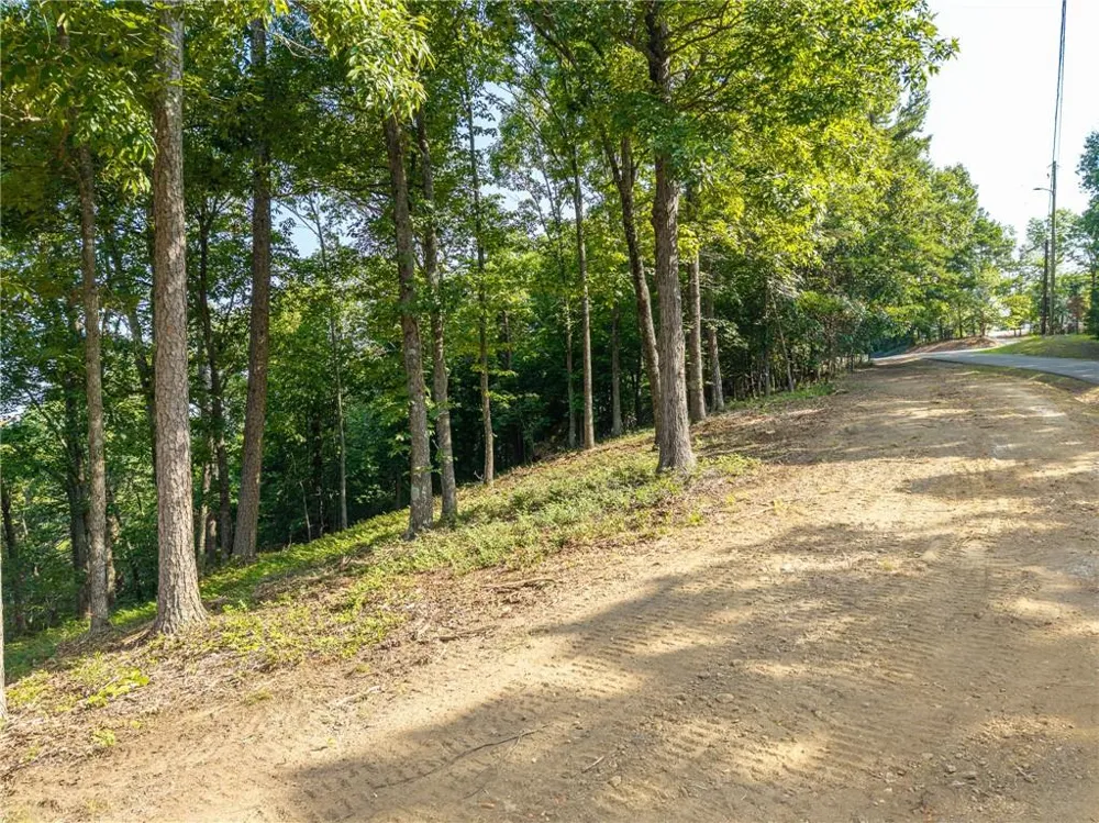 294 Adair Drive NE Ranger, GA 30734