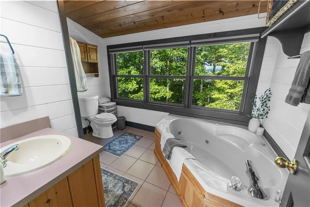 832 Scenic Mountain View Road Blue Ridge, GA 30513