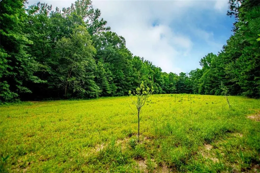 4624 Jacksonville Road Tallapoosa, GA 30176