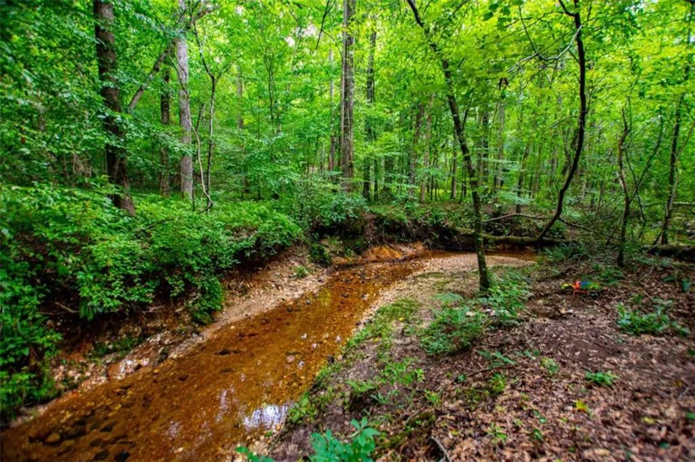4624 Jacksonville Road Tallapoosa, GA 30176
