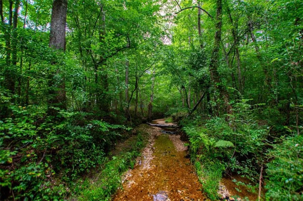 4624 Jacksonville Road Tallapoosa, GA 30176