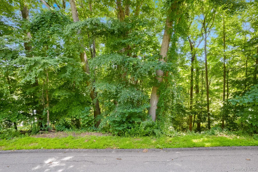 Lot 11 Shamrock Drive Putnam Valley, NY 10579