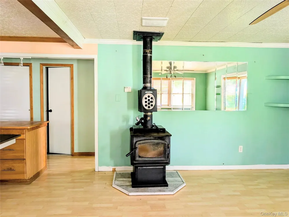 93 Carrier Street Liberty, NY 12754
