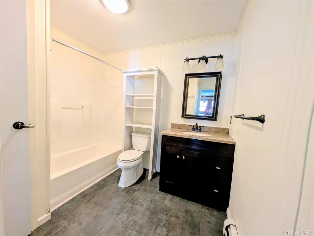 93 Carrier Street Liberty, NY 12754