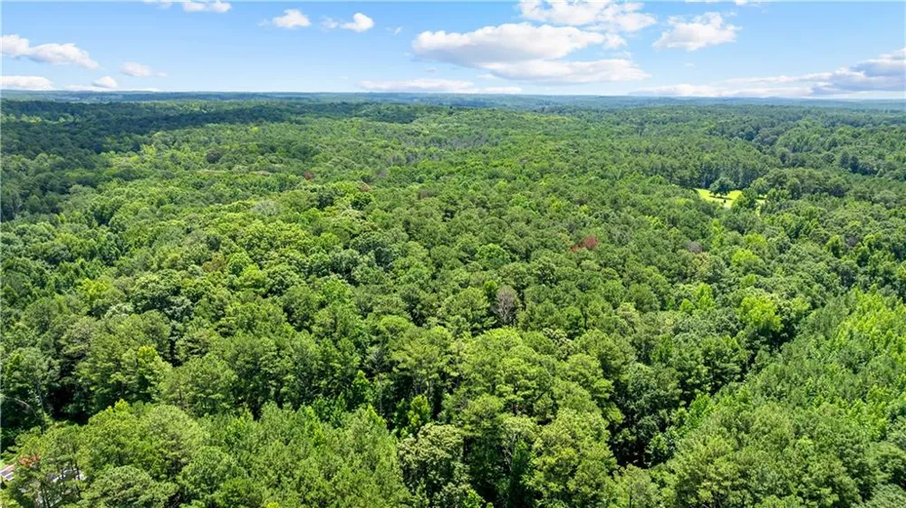 0 Rico Road Chattahoochee Hills, GA 30268