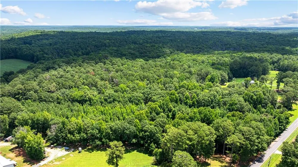 0 Rico Road Chattahoochee Hills, GA 30268