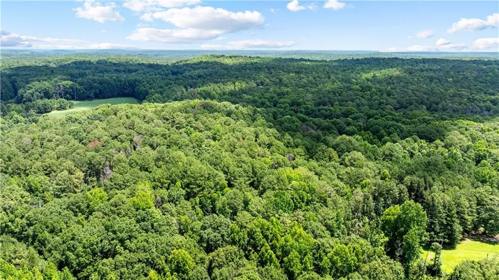 0 Rico Road Chattahoochee Hills, GA 30268