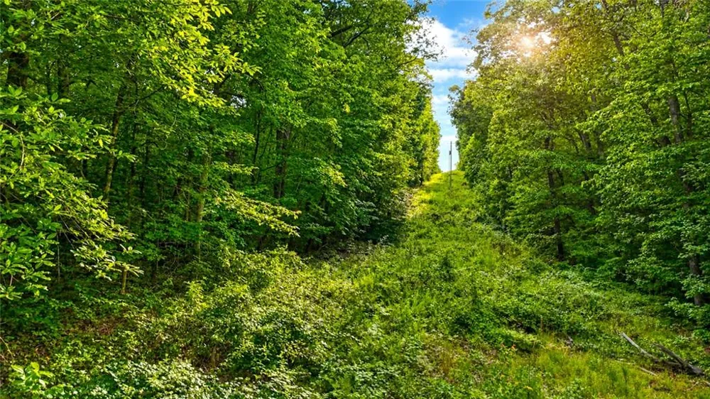 00 Highway 2 Parcel 1120913000 Cohutta, GA 30710