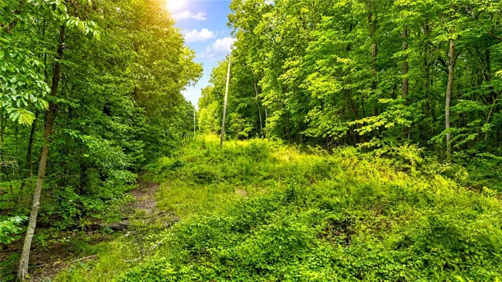 00 Highway 2 Parcel 1120913000 Cohutta, GA 30710