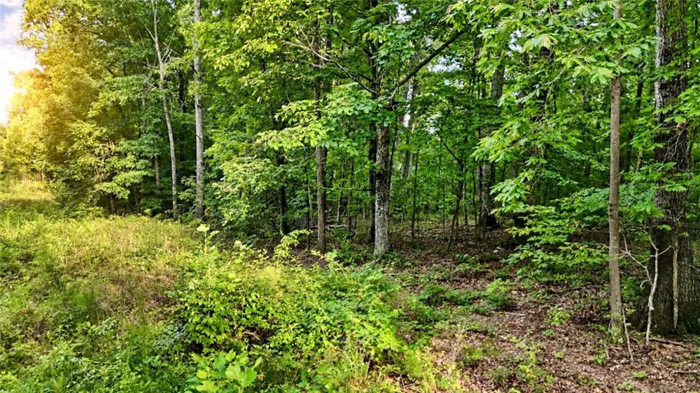 00 Highway 2 Parcel 1120913000 Cohutta, GA 30710