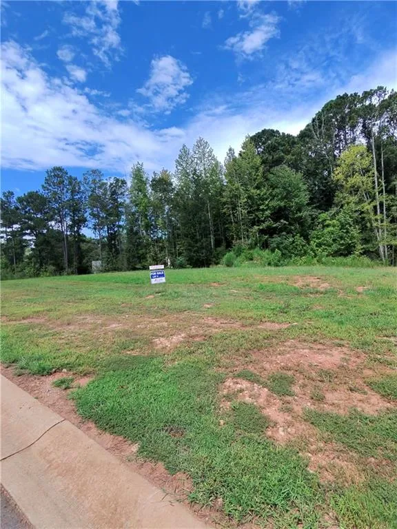 0 Wisteria Lane Williamson, GA 30292