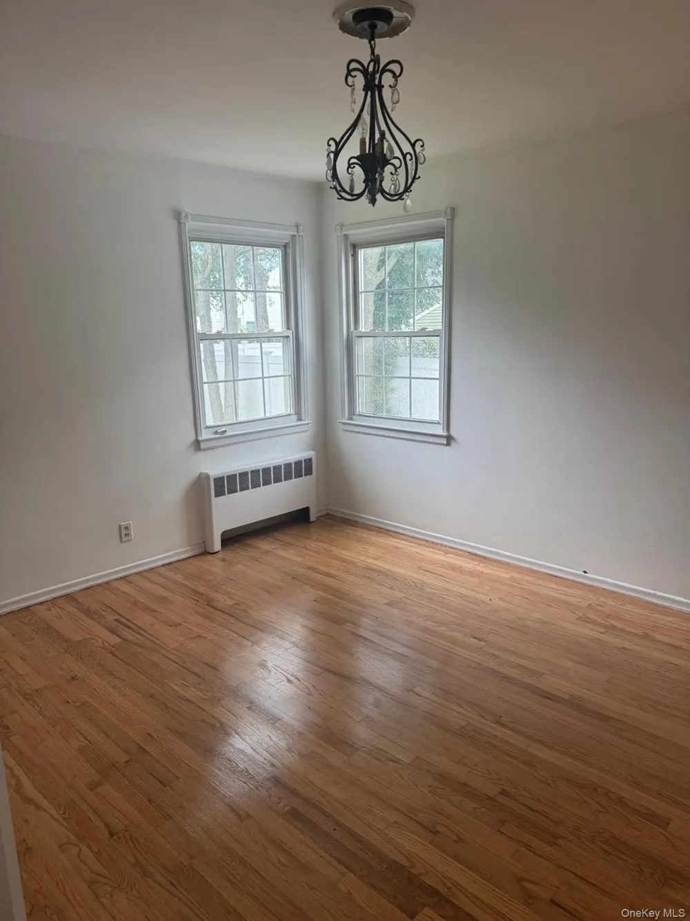 14 Larch Street Hicksville, NY 11801