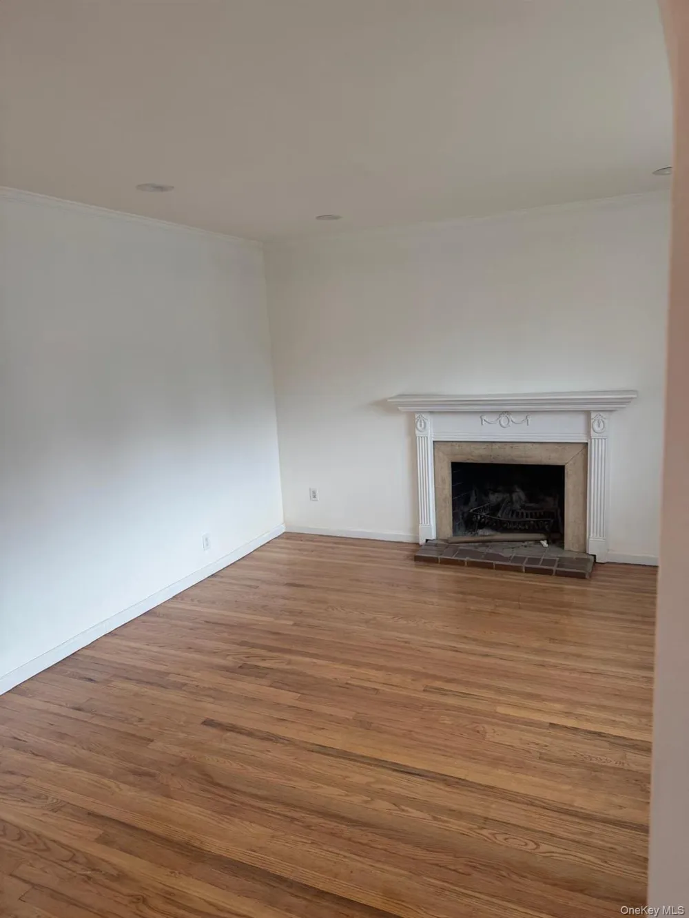 14 Larch Street Hicksville, NY 11801