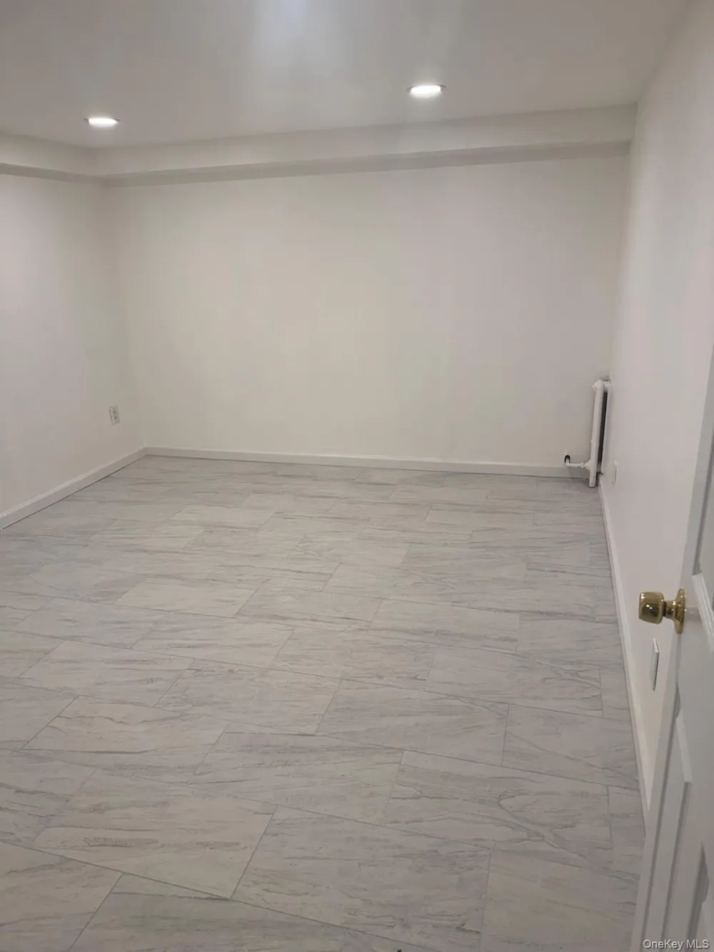 14 Larch Street Hicksville, NY 11801