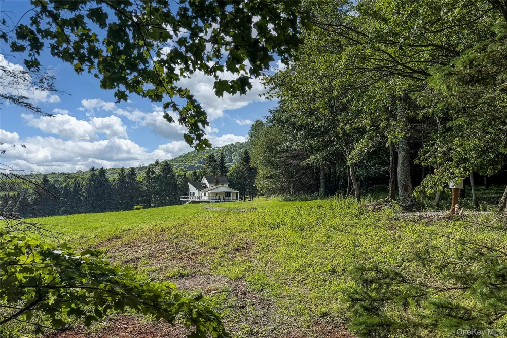 1534 Brownell Road Bloomville, NY 13739