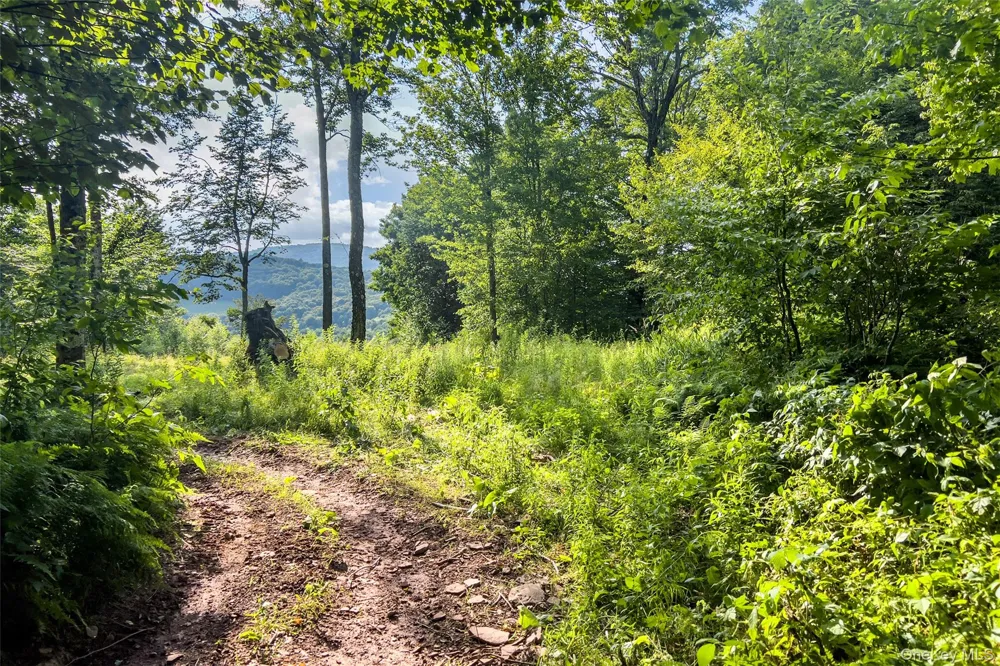 1534 Brownell Road Bloomville, NY 13739