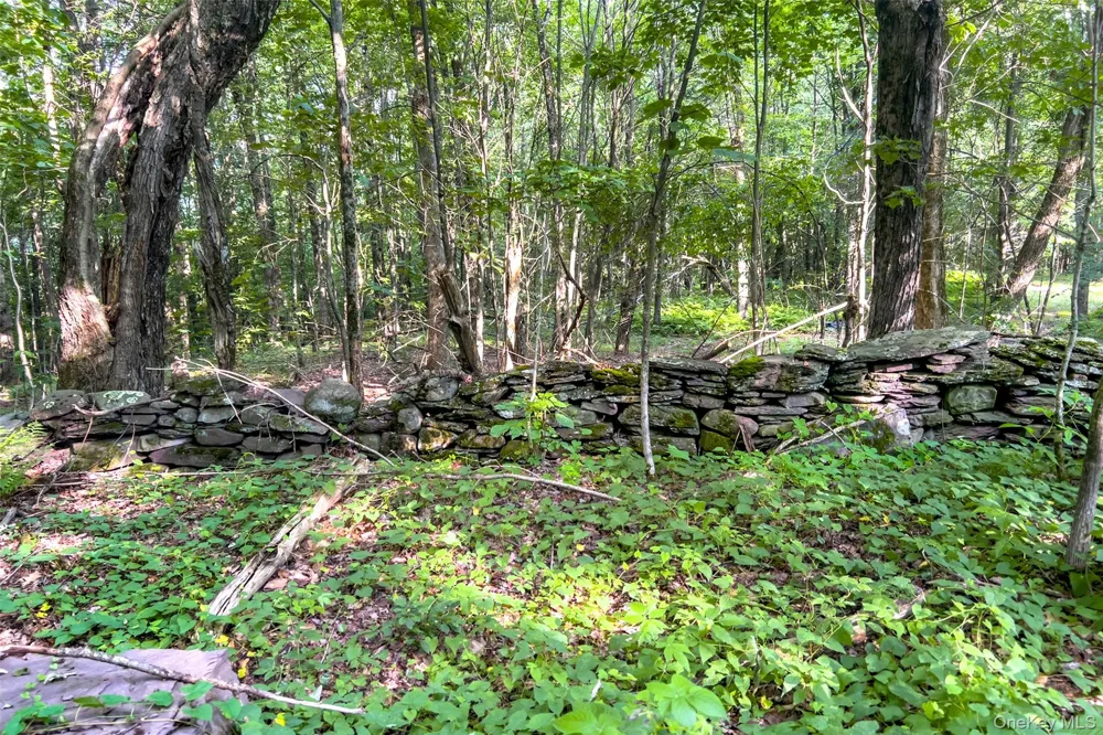1534 Brownell Road Bloomville, NY 13739