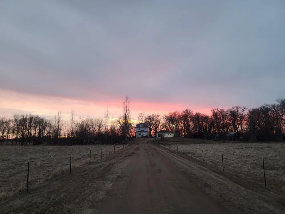 81307 150th Street Sacred Heart, MN 56285