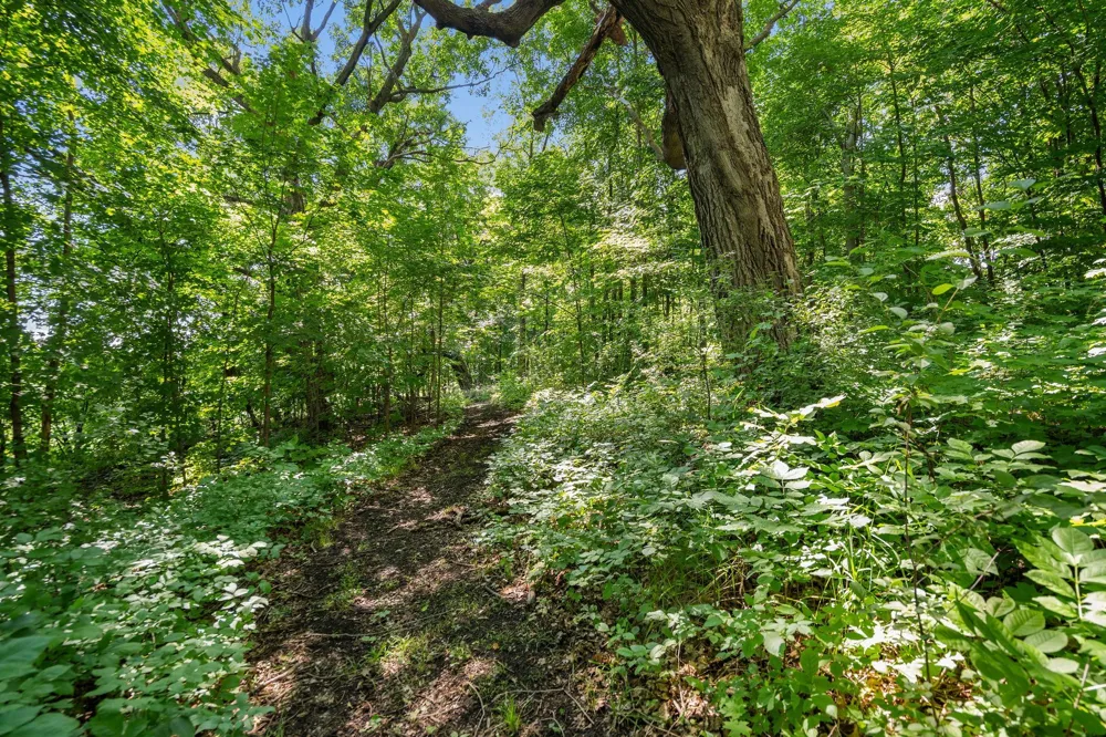 8315 Greenfield Road Loretto, MN 55357