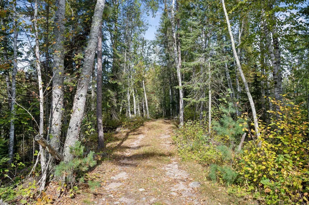 46xxx Smith Lake Road Marcell, MN 56657