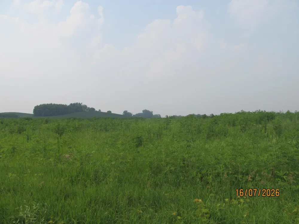 Lot 7 Benson Lane Roberts, WI 54023