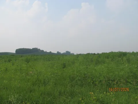 Lot 7 Benson Lane