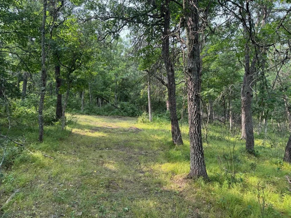 14910 S Black Widow Road Gordon, WI 54838