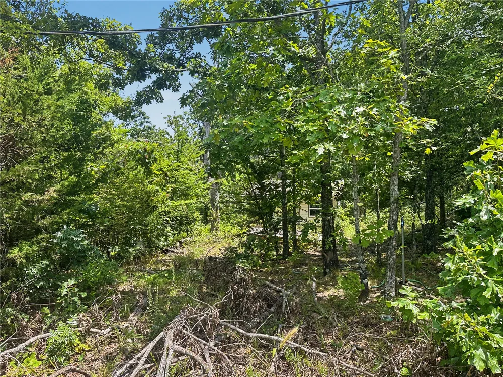 36040 S Sky View Drive Park Hill, OK 74451