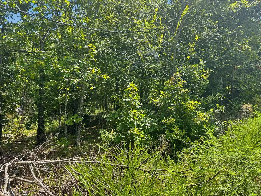 36040 S Sky View Drive Park Hill, OK 74451