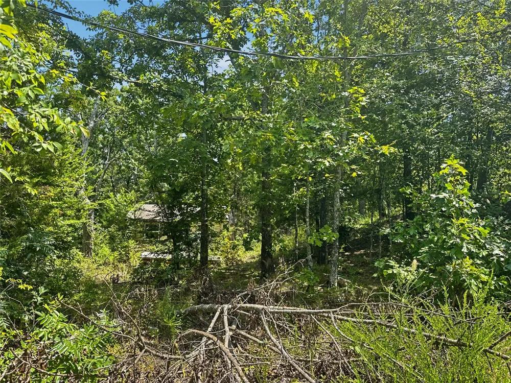 36040 S Sky View Drive Park Hill, OK 74451