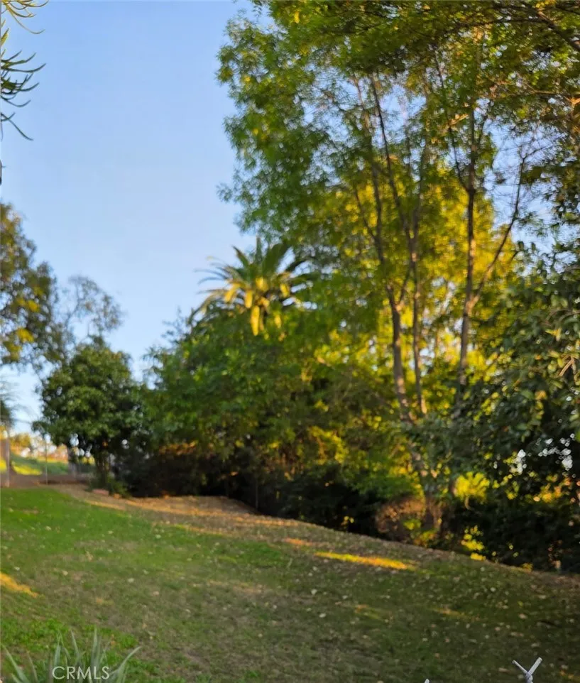 16060 Las Vecinas Drive La Puente, CA 91744