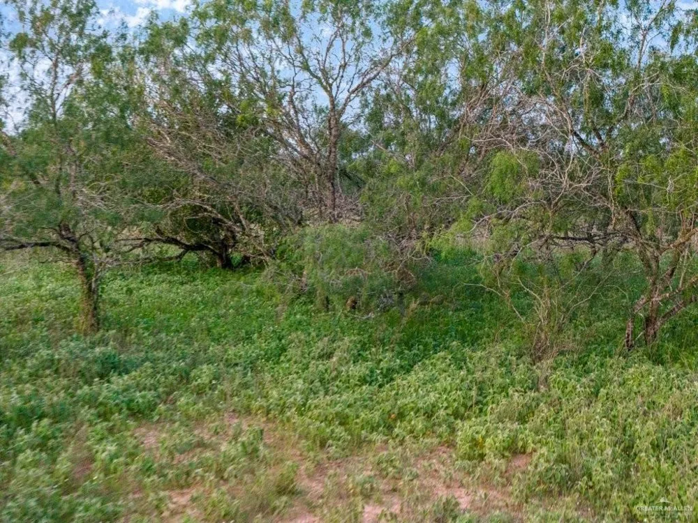 142 Old San Isidro Road San Isidro, TX 78588