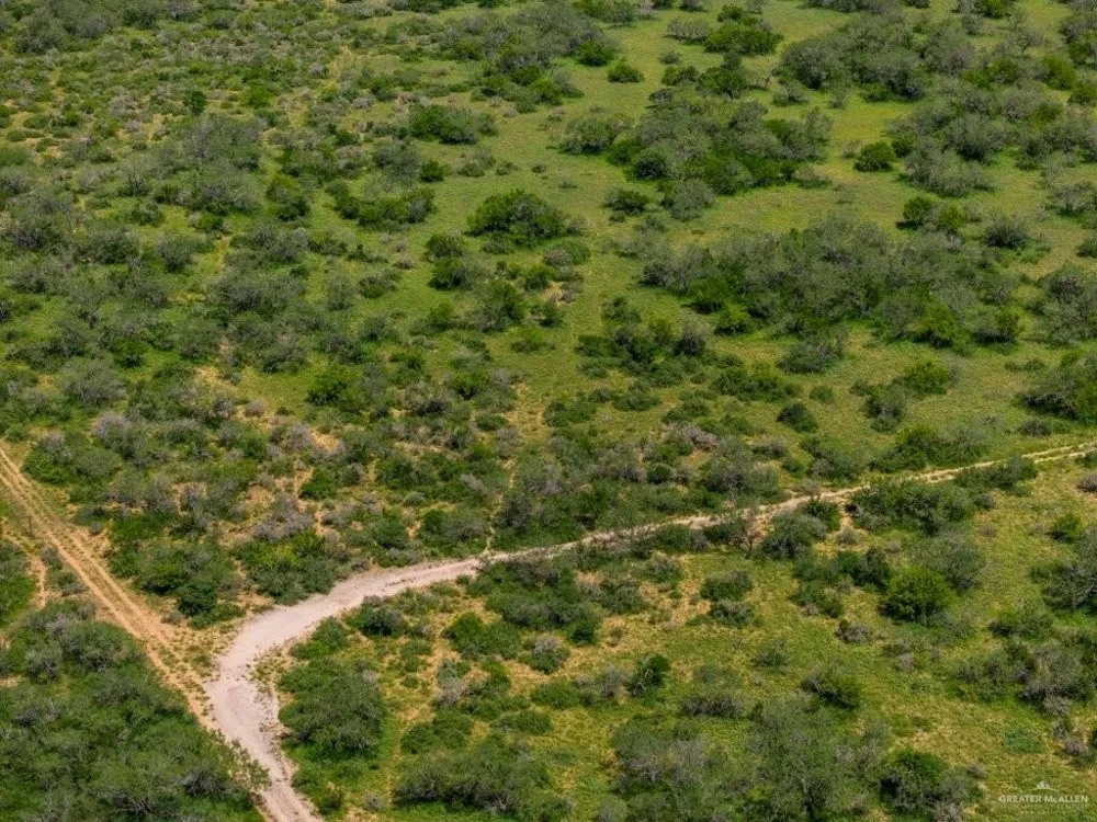 142 Old San Isidro Road San Isidro, TX 78588