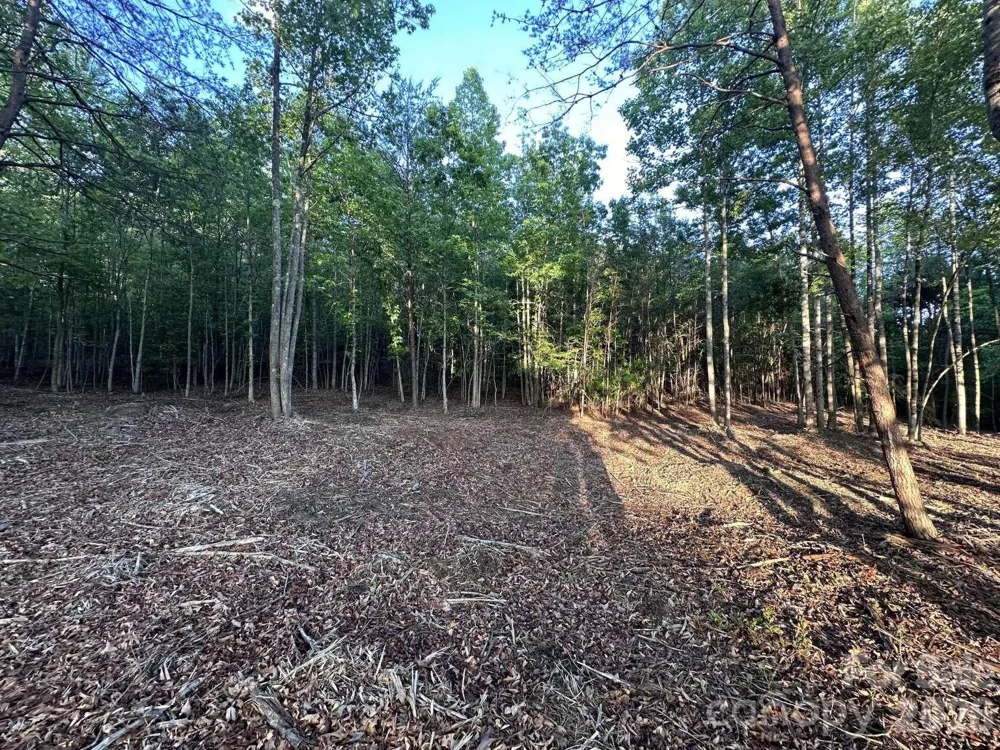 0 Howard Arnett Road Lenoir, NC 28645