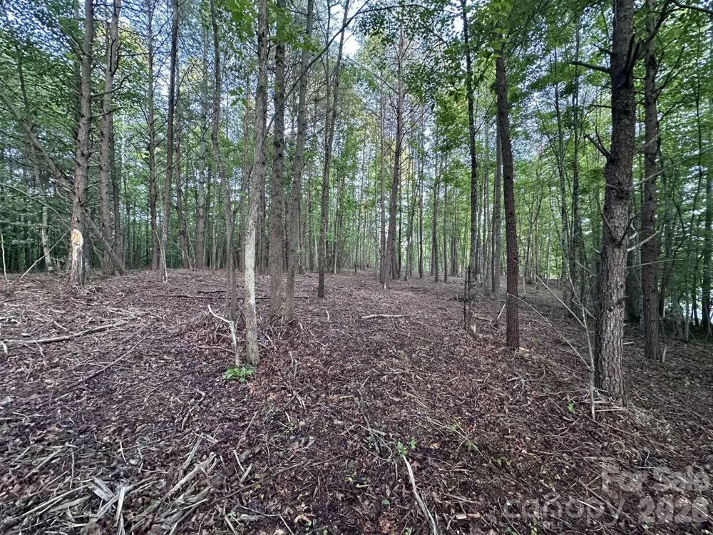 0 Howard Arnett Road Lenoir, NC 28645