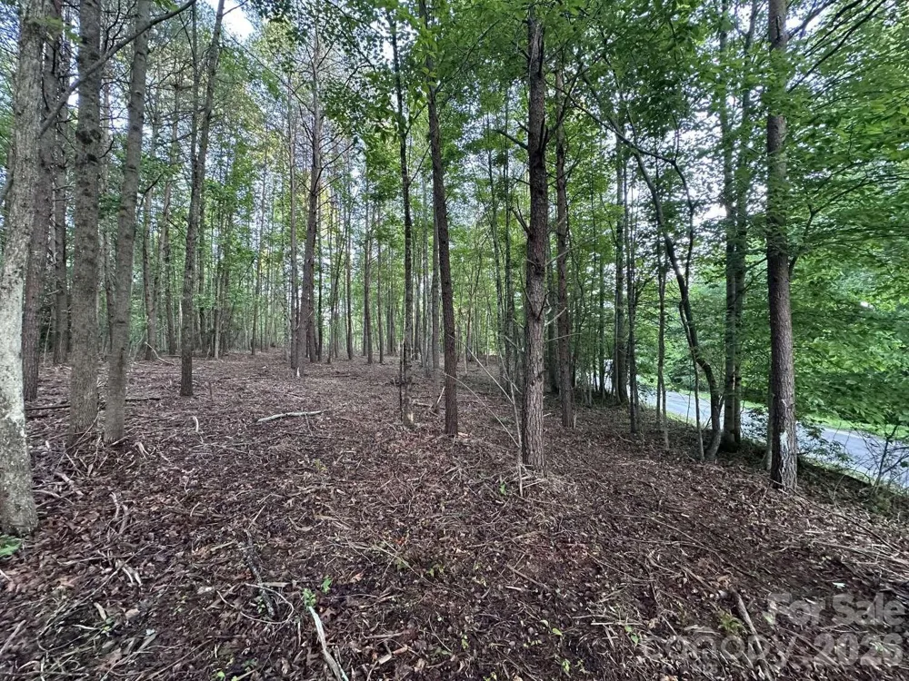 0 Howard Arnett Road Lenoir, NC 28645