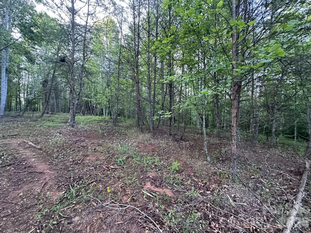 0 Howard Arnett Road Lenoir, NC 28645